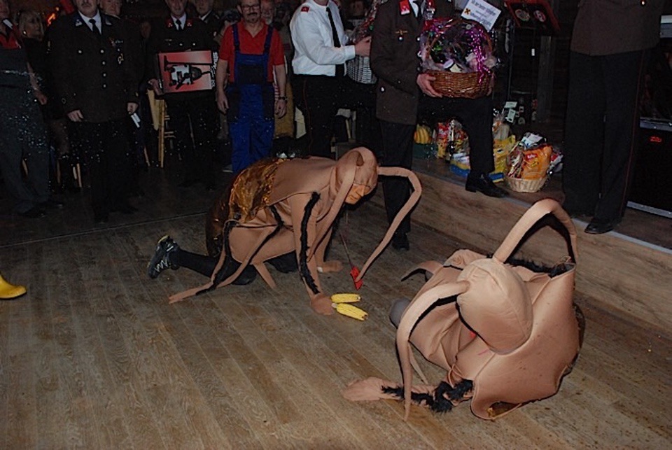 Faschingsparty Bacherlwirt 2015 web 85