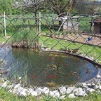 Leckerei-Bacherlwirt-2015-06.jpg